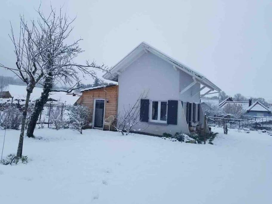 Gite Le Charmot, Au Pied Des Montagnes Classe 3* Roderen Zewnętrze zdjęcie