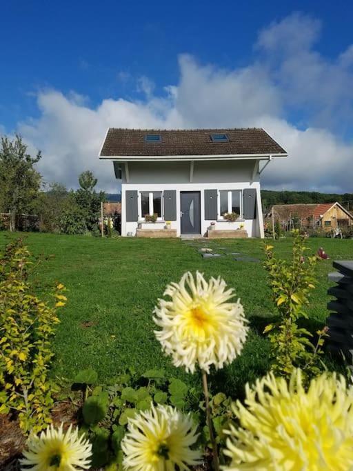 Gite Le Charmot, Au Pied Des Montagnes Classe 3* Roderen Zewnętrze zdjęcie