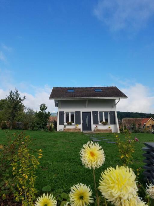 Gite Le Charmot, Au Pied Des Montagnes Classe 3* Roderen Zewnętrze zdjęcie