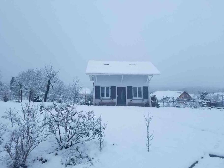 Gite Le Charmot, Au Pied Des Montagnes Classe 3* Roderen Zewnętrze zdjęcie