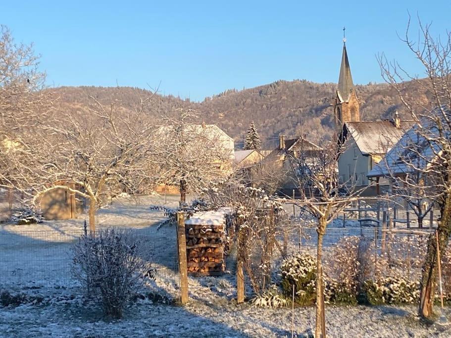 Gite Le Charmot, Au Pied Des Montagnes Classe 3* Roderen Zewnętrze zdjęcie