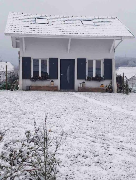 Gite Le Charmot, Au Pied Des Montagnes Classe 3* Roderen Zewnętrze zdjęcie