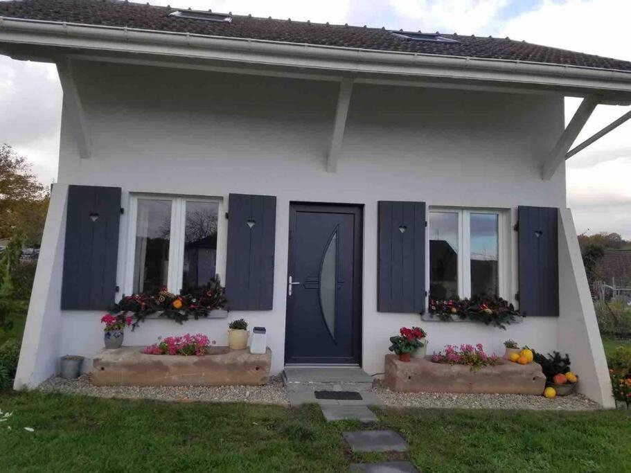 Gite Le Charmot, Au Pied Des Montagnes Classe 3* Roderen Zewnętrze zdjęcie